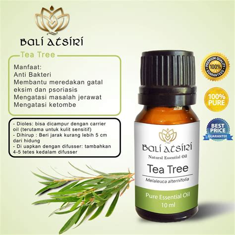 Jual Bali Atsiri Tea Tree Oil Ml Pure Essential Oil Tea Tree Ml