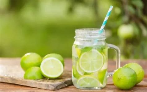 fresh lime juice  bottled lime juice     option