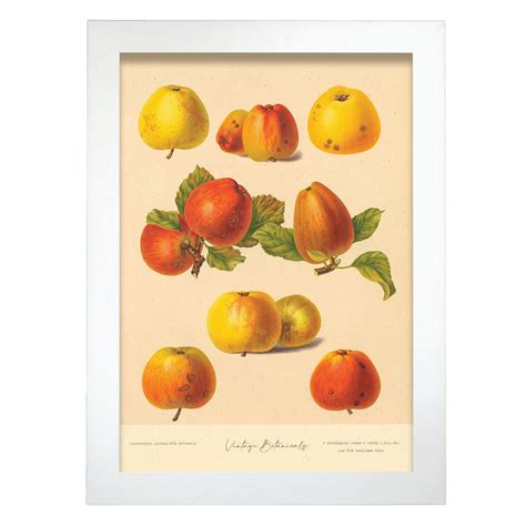 Affiche Nacnic De Pommes Malades Inspiré Par De Cuisine Vintage Cadres