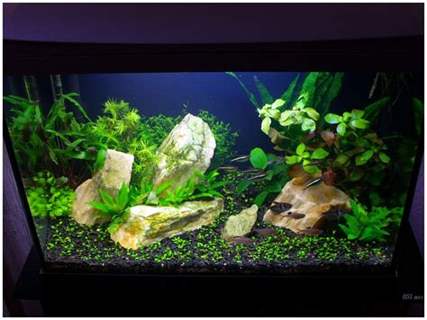 Аквариум 60 литров, грунт Aquael Acti Substrate PRO+ , грунт Aquael