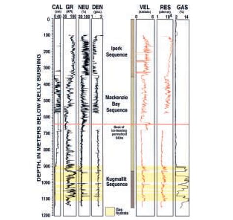 Integrated Well Log And Reflection Seismic Analysis Of Gas Hydrate