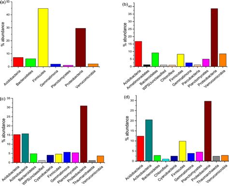 Dominant Bacterial Phyla In The Soil A Initially Before Placing Face