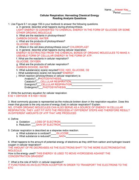 Cellular Respiration Pogil Worksheet Answers