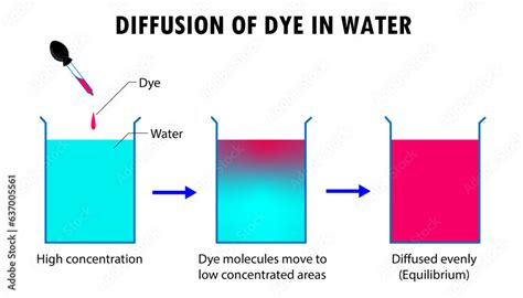 diagram   process  diffusion movement  particles  highly