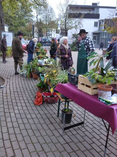 Pflanzentauschb Rse Obst Und Gartenbauverein Refrath E V