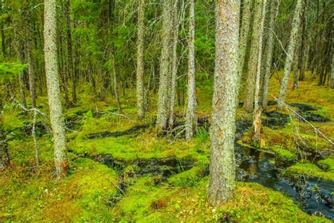 Clear Lake Riding Mountain National Park Manitoba Canada Stock Photo