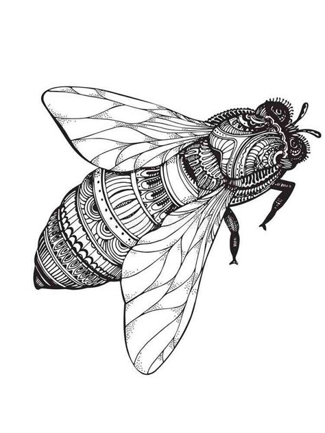 Fly Coloring Pages For Adults