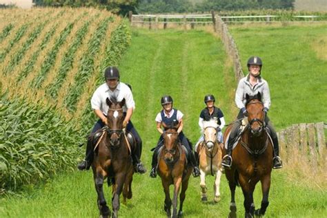 Wiedereinsteiger Reitschule Altrogge Terbrack Reitschule M Nsterland