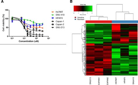 A Cell Proliferation Inhibition Curve Of Triptolide On Pancreatic Cell