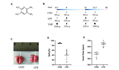 Lung Injury Induction By Lps A The Structural Formula Of Tmp B