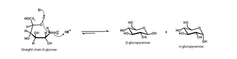 Glucose Ring Formation - Integrated MCAT Course