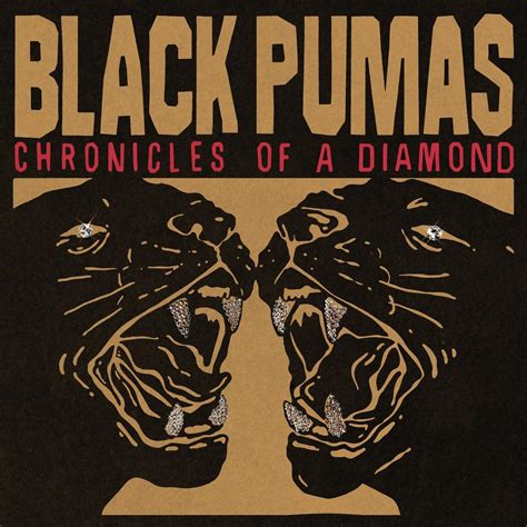 Black Pumas – More Than a Love Song Lyrics | Genius Lyrics