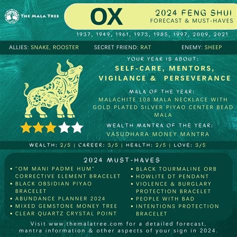 2024 Annual Feng Shui Forecast And Must Haves For The 12 Animal Signs