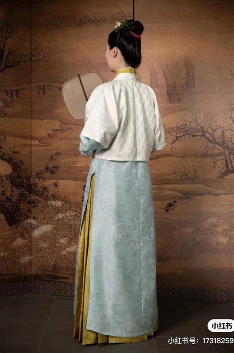 🇨🇳china Yuan Dynasty Chinese Traditional Hanfu Hanfu Dynasty