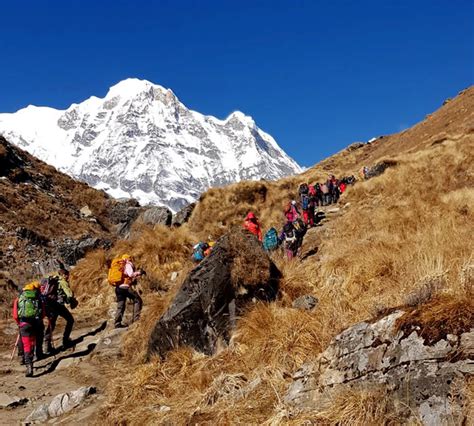 Embrace Culture, Nature & Trekking in Annapurna, Nepal