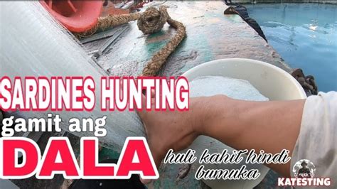 Sardines Hunting Nakahuli Kahit Di Bumuka Ang Dala Youtube