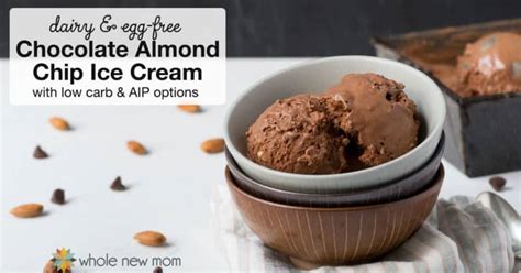 Chocolate Almond Chip Ice Cream – dairy free, low carb, sugar free, & vegan