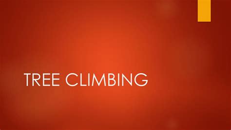 Tree Climbing Ppt Download