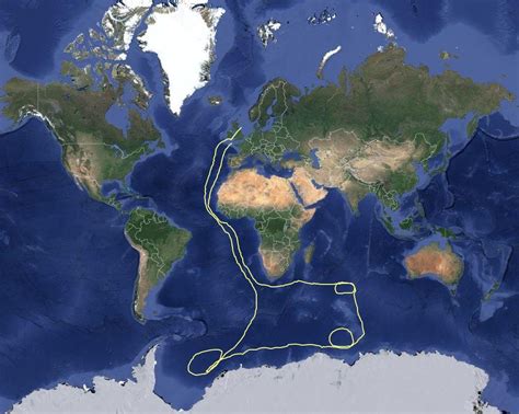 Arctic Tern Migration