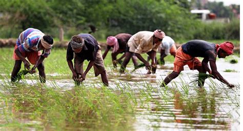 Only Farmers Will Be Covered Under Pm Kisan Yojana This Year