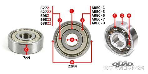 双排轮滑单排轮滑滑板轴承指南 知乎