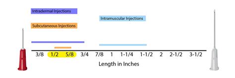 Syringe Buying Guide