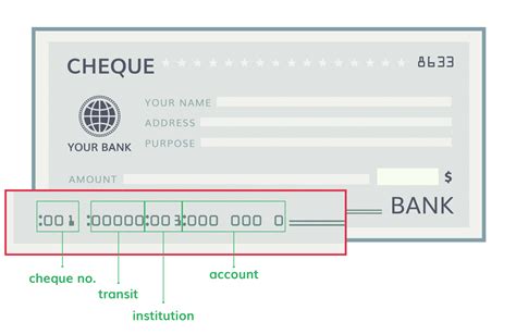 Rbc Institution Number How To Find And Understand It Insurdinary