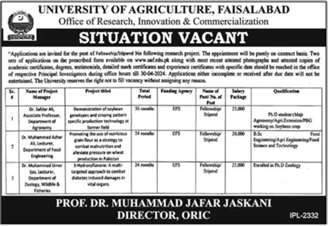 University Of Agriculture Faisalabad Uaf Jobs Job