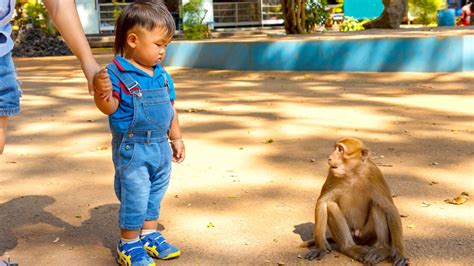 Tips Agar Si Kecil Atau Anak Terhindar Dari Cacar Monyet Klikdokter