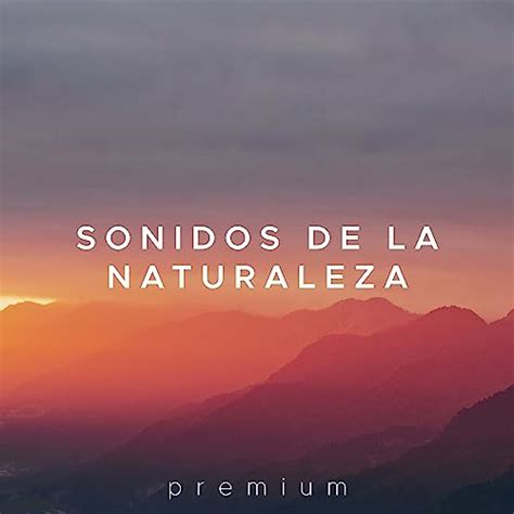 Sonidos De La Naturaleza Premium Musica Relajante Para Tu Calma