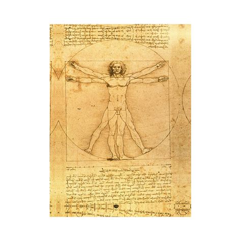 Stampa Su Tela Leonardo Da Vinci L Uomo Vitruviano L Arte Del Regalo