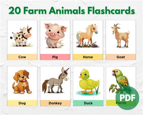 20 Farm Animals Flashcards Farm Flash Cards Pre School Flashcards