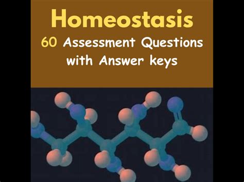 Homeostasis 60 Assessment Questions With Answers Quiz Test Teaching Resources