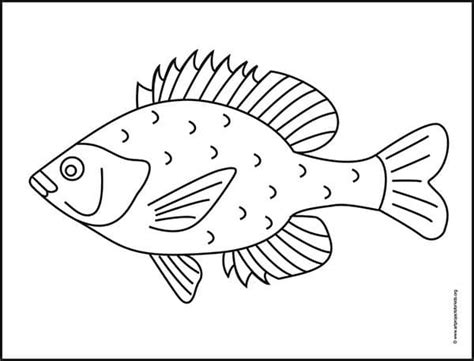 Easy How to Draw a Fish Tutorial and Fish Coloring Page