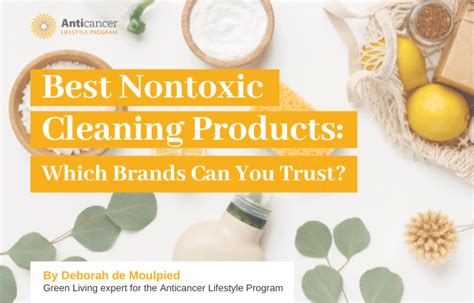 Best Nontoxic Cleaning Products: Which Brands Can You Trust ...