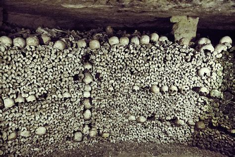 Paris Catacombs Photograph By Tony Hart Wilden Pixels