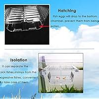 Amazon Capetsma Fish Breeding Box Acrylic Fish Isolation Box