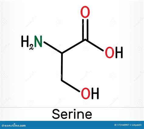 Serine Ser Amino Acid Molecule It Is Used In The Biosynthesis Of