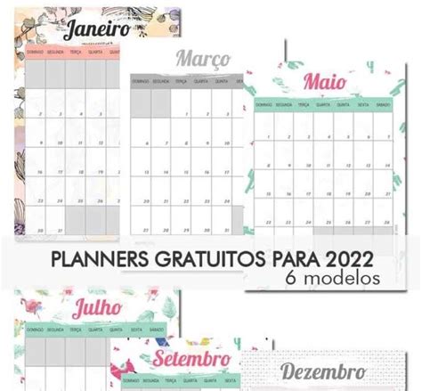 Clara Oliveira Planners Gratuitos Para Baixar E Imprimir Em