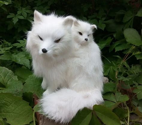 Artificial Fox Decoration Arctic Fox T Mother And Son Fox Props