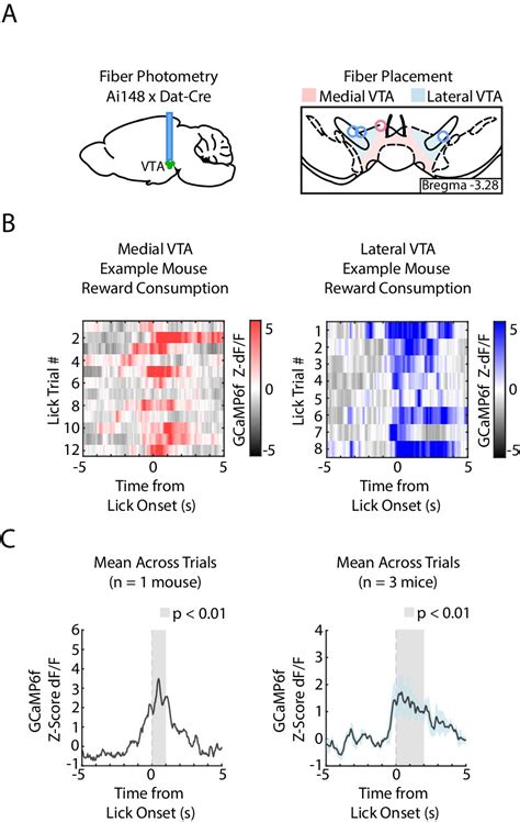 Figures And Data In Distinct Signals In Medial And Lateral Vta Dopamine