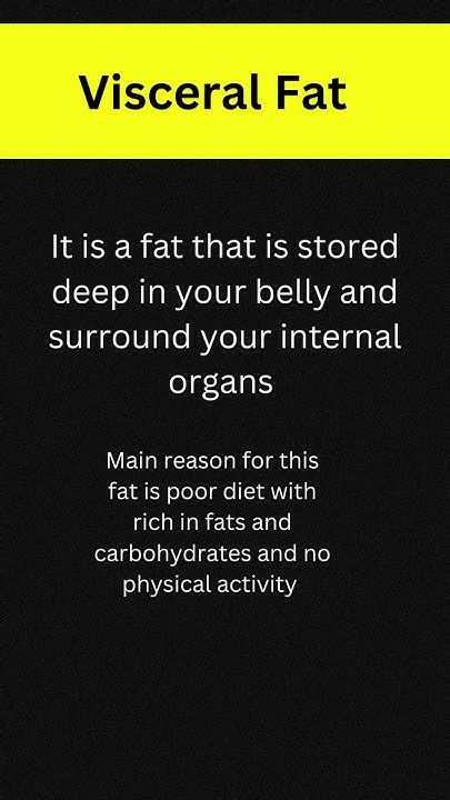 Visceral Fat Vs Subcutaneous Fat Youtube