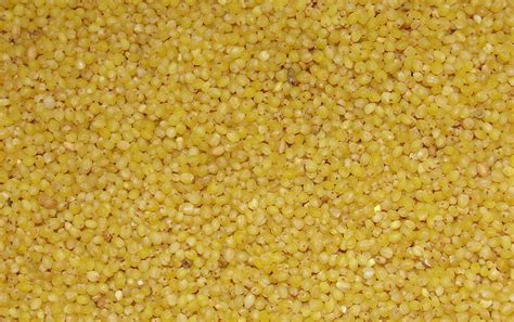 Foxtail Millet Complete Information Including Health Benefits