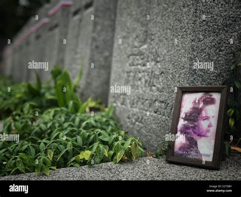 Cementerio militar polaco fotografías e imágenes de alta resolución Alamy