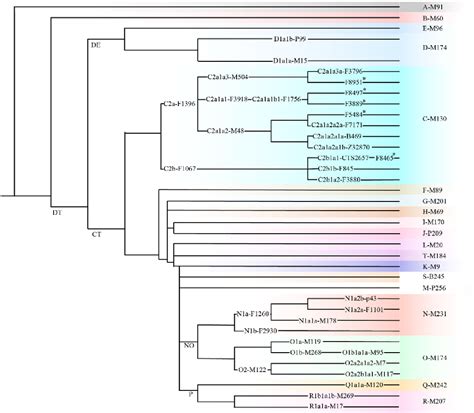 Figure From Evolutionary Profiles And Complex Admixture Landscape In