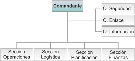 Sistema De Comandos De Incidentes Braincp