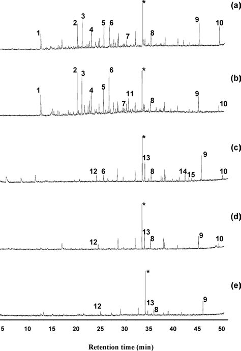 Gcms Results For Methylated Solvent Fractions A Bayer Humic Sample