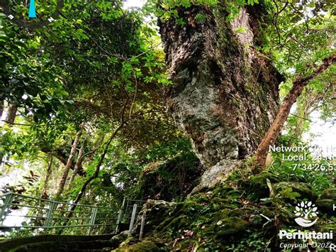 Perhutani Batu Jonggol Wisata Religi Di Kawasan Hutan Perhutani Kedu