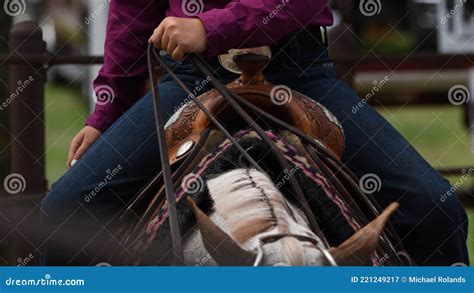 Horseback Rider Holds The Reins Stock Image Image Of Jeans Blue