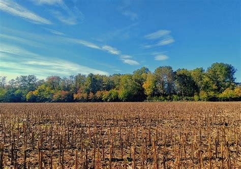 Azione Capacity Building Agriciclo